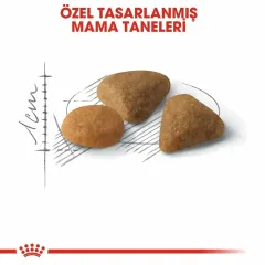 Royal Canin Savour Exigent 35/30 Seçici Kedilere Özel Kedi Maması 2 Kg