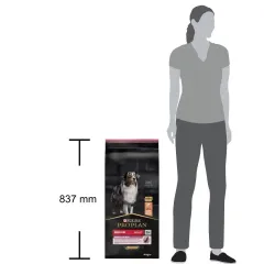 Pro Plan Medium Sensitive Skin Somonlu Orta Irk Yetişkin Köpek Maması 14 Kg