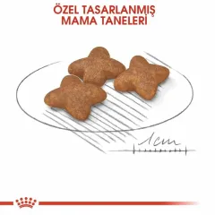 Royal Canin Mini Adult Küçük Irk Yetişkin Köpek Maması 4 Kg