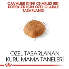 Royal Canin Cavalier King Charles Yetişkin Köpek Maması 1,5 Kg