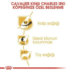 Royal Canin Cavalier King Charles Yetişkin Köpek Maması 1,5 Kg