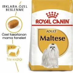 Royal Canin Maltese Terrier Yetişkin Köpek Maması 1,5 Kg