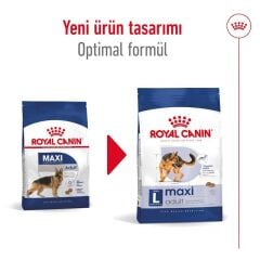Royal Canin Maxi Adult Büyük Irk Yetişkin Köpek Maması 15 Kg