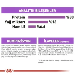 Royal Canin Ccn Mini Sterilised Yetişkin Köpek Maması 3 kg