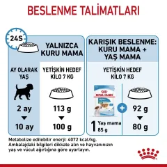 Royal Canin Mini Puppy Küçük Irk Yavru Köpek Maması 4 Kg