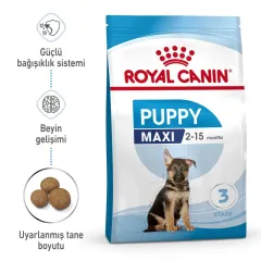 Royal Canin Maxi Puppy Büyük Irk Yavru Köpek Maması 15 Kg