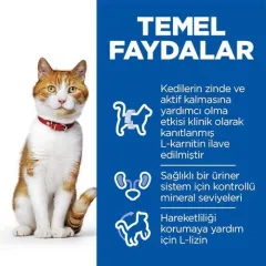Hill's Scıence Plan Somonlu Kısırlaştırılmış Yetişkin Kedi Maması 8kg+2kg HEDİYE!