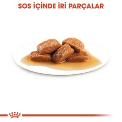 Royal Canin Maxi Adult Köpek Yaş Maması 10X140 Gr