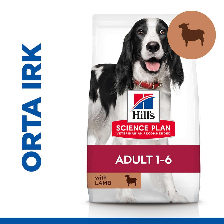 Hills Lamb Kuzulu Yetişkin Köpek Maması 2,5 Kg
