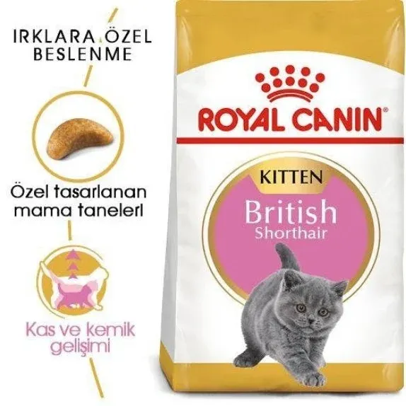 Royal Canin Kitten British Shorthair Yavru Kedi Maması 2 Kg