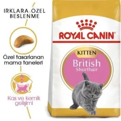 Royal Canin Kitten British Shorthair Yavru Kedi Maması 2 Kg