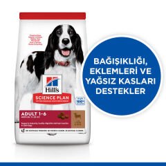 Hills Medium Kuzulu Yetişkin Köpek Maması 14 Kg