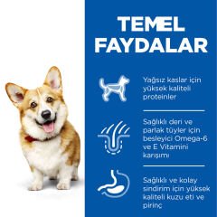 Hills Small & Miniature Küçük Irk Kuzulu Köpek Maması 6 Kg