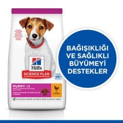 Hills Small & Miniature Puppy Tavuk Küçük Irk Yavru Köpek Maması 3 Kg