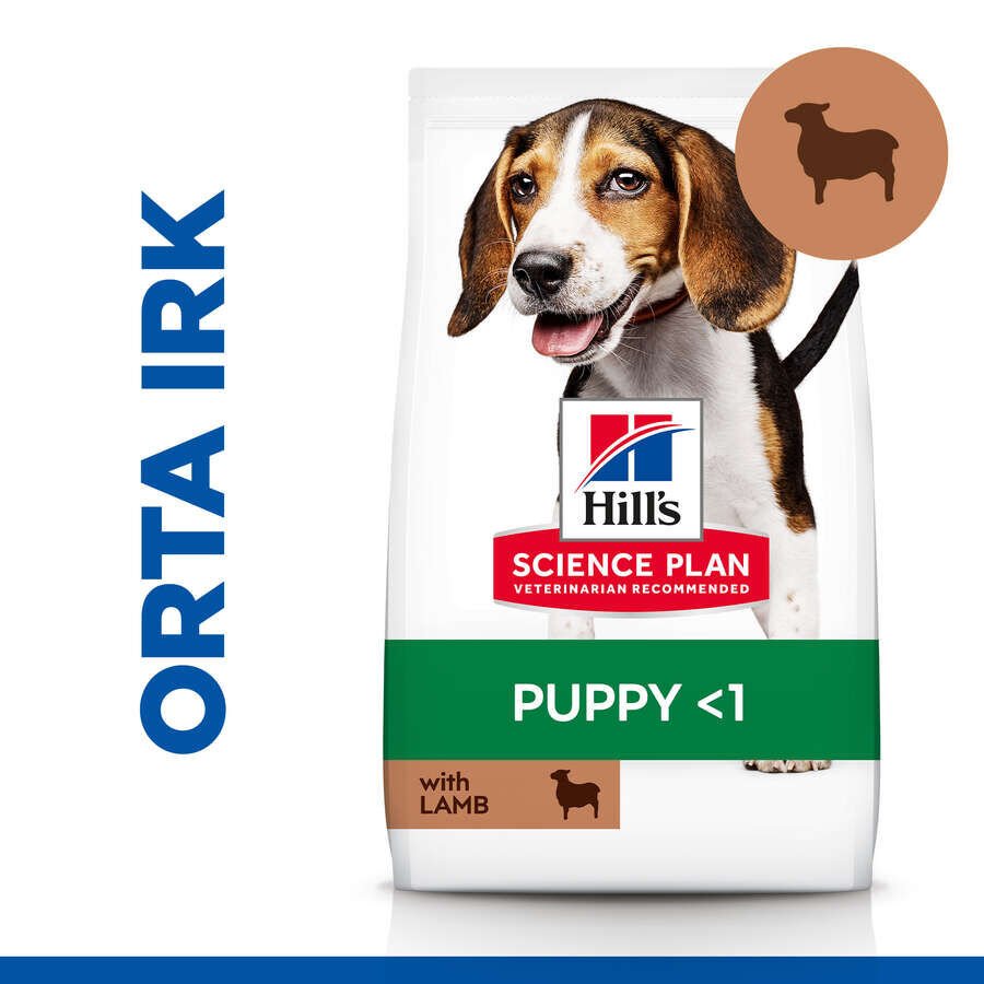 Hills Puppy Lamb Kuzulu Yavru Köpek Maması 2,5 Kg