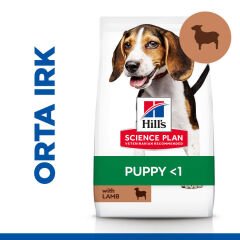 Hills Puppy Lamb Kuzulu Yavru Köpek Maması 2,5 Kg